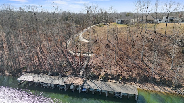 1825 River Breeze Dr, Soddy Daisy, TN 37379 - birds eye view of property with a wooded view and a water view