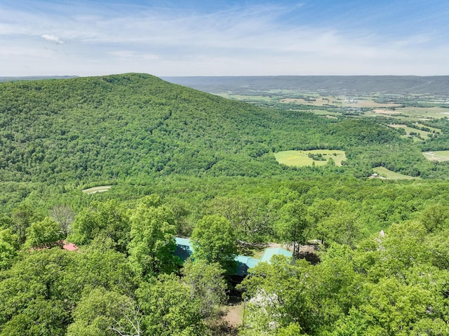 drone / aerial view featuring a water view and a wooded view