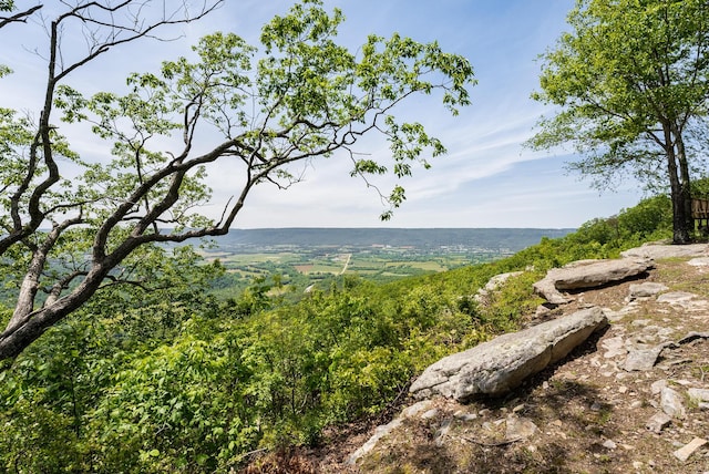 property view of water featuring a view of trees