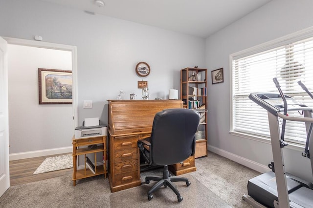 home office featuring carpet flooring and baseboards