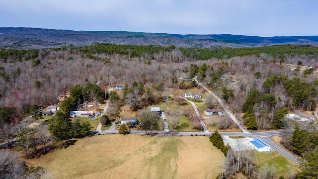 drone / aerial view featuring a mountain view and a wooded view