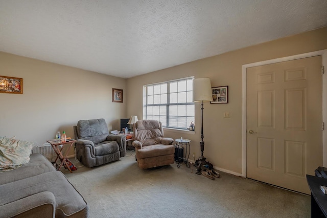 living area featuring baseboards, carpet floors, and a textured ceiling