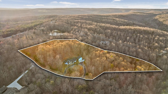 157 Twilight Trl, Dunlap, TN 37327 - aerial view of property and surrounding area with property parcel outlined and a heavily wooded area
