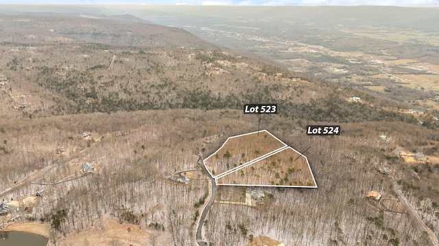 157 Twilight Trl, Dunlap, TN 37327 - aerial view of property and surrounding area featuring property parcel outlined and a mountainous background