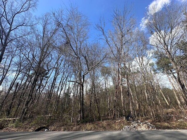 35 Karen Dr, Ringgold GA, 30736 land for sale