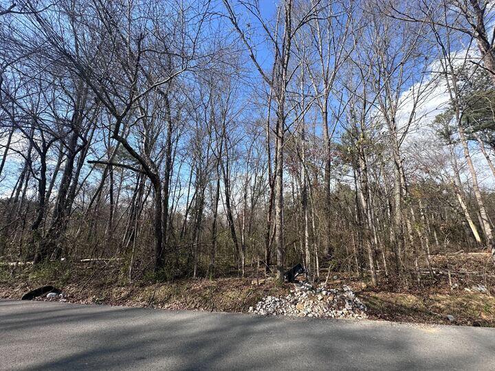 35 Karen Dr, Ringgold, GA 30736 - photo 3