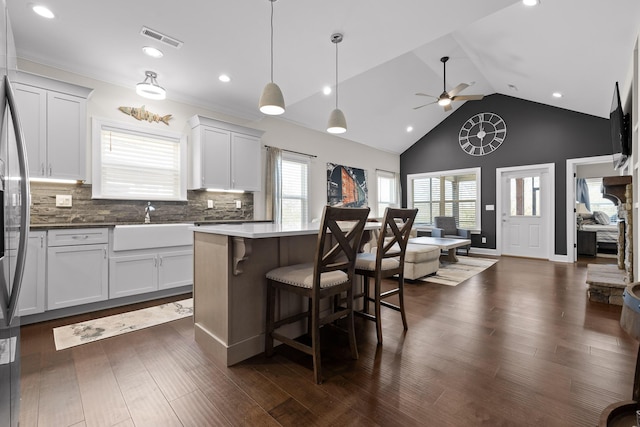 kitchen with visible vents, plenty of natural light, and dark wood-style flooring