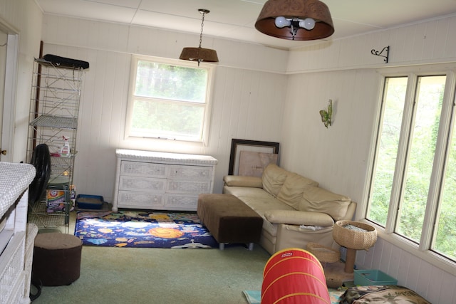 view of carpeted living area