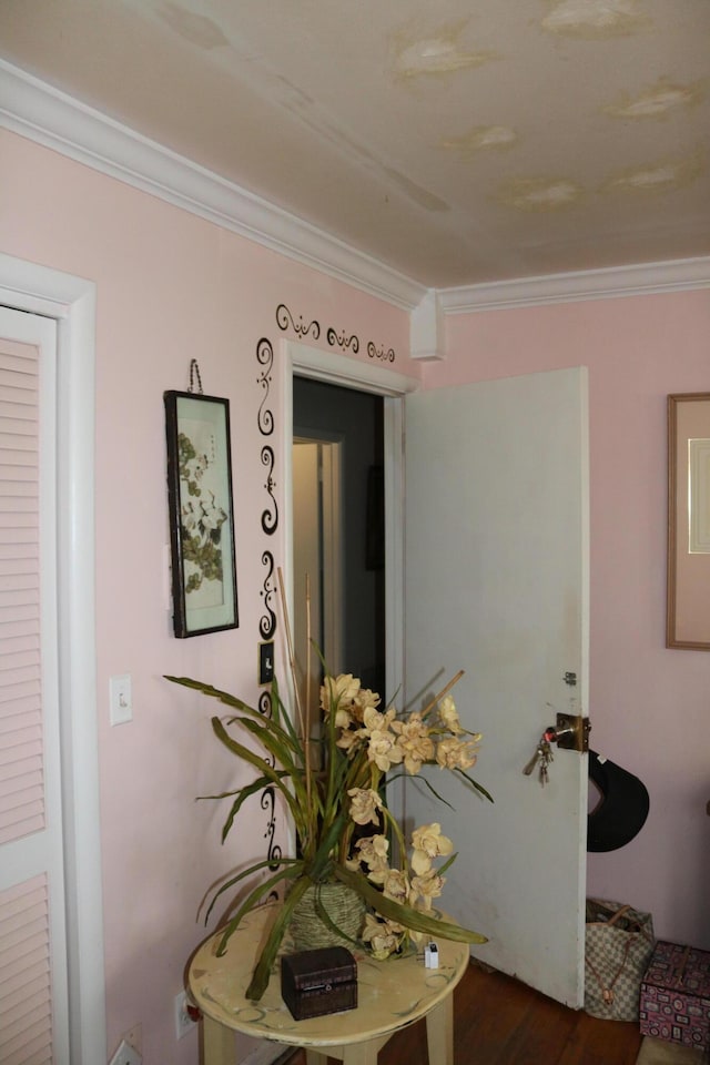 hall featuring dark wood finished floors and ornamental molding