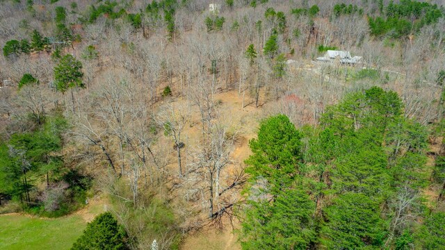 9019 Springfield Rd, Soddy Daisy, TN 37379 - photo 10