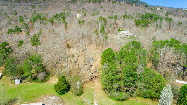 9019 Springfield Rd, Soddy Daisy, TN 37379 - photo 11