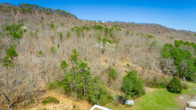 9019 Springfield Rd, Soddy Daisy, TN 37379 - photo 12