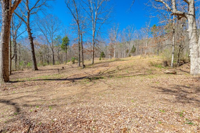 9019 Springfield Rd, Soddy Daisy, TN 37379 - photo 7
