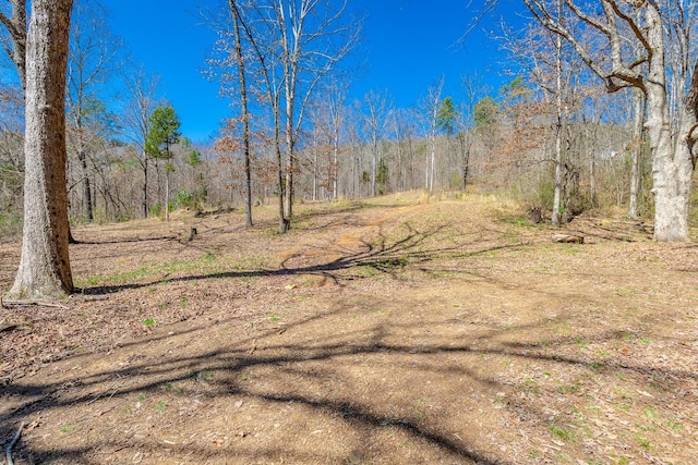 9019 Springfield Rd, Soddy Daisy, TN 37379 - photo 8