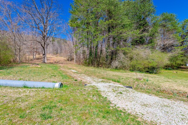 9019 Springfield Rd, Soddy Daisy, TN 37379 - photo 5