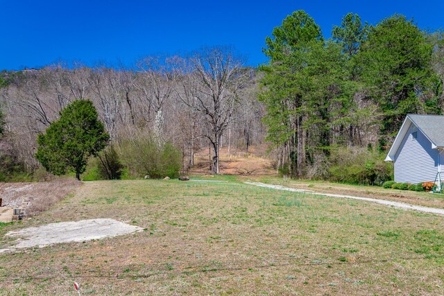 9019 Springfield Rd, Soddy Daisy, TN 37379 - photo 4