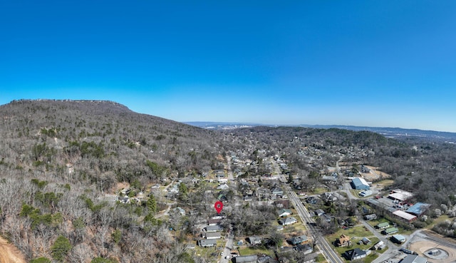 bird's eye view with a mountain view