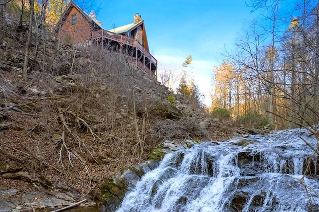 view of local wilderness