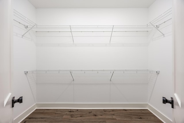 walk in closet with dark wood-style flooring