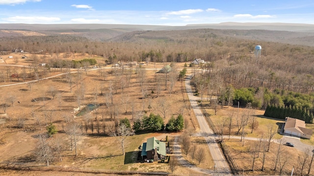 drone / aerial view featuring a mountain view