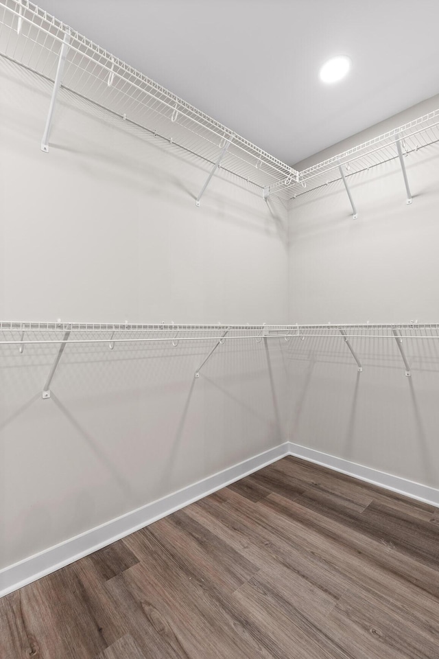 spacious closet featuring dark wood-style floors