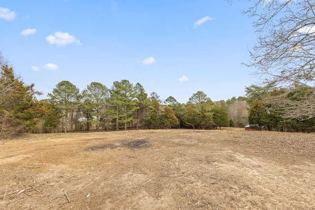 view of local wilderness with a forest view