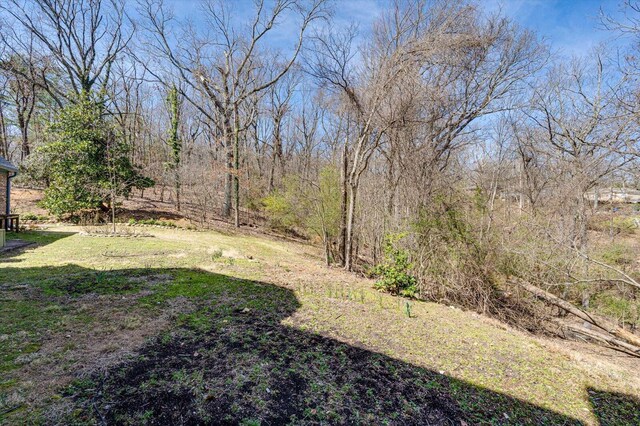 5803 Lake Resort Dr, Hixson, TN 37343 - view of yard