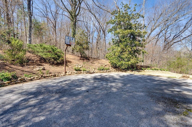 5803 Lake Resort Dr, Hixson, TN 37343 - view of yard
