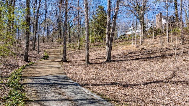 5803 Lake Resort Dr, Hixson, TN 37343 - view of street