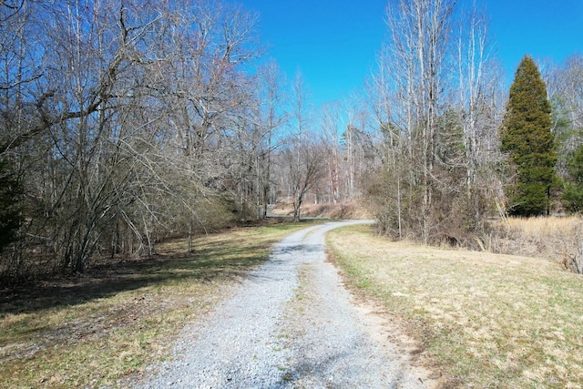 view of road with a forest view