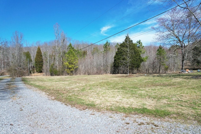 view of yard featuring a view of trees