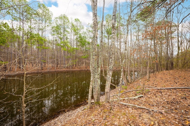 view of local wilderness featuring a water view