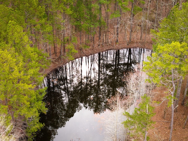 aerial view featuring a forest view and a water view