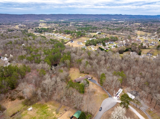 bird's eye view with a mountain view