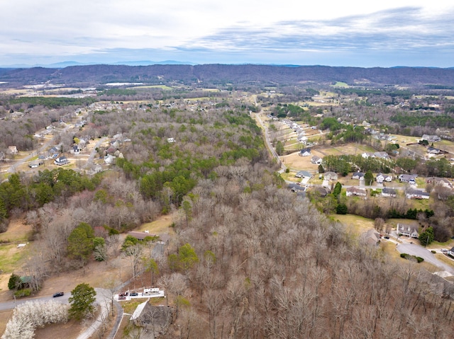 drone / aerial view