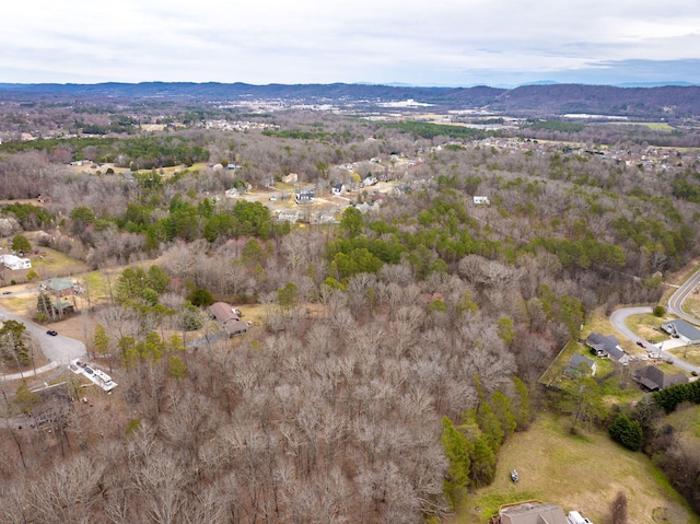 bird's eye view featuring a mountain view