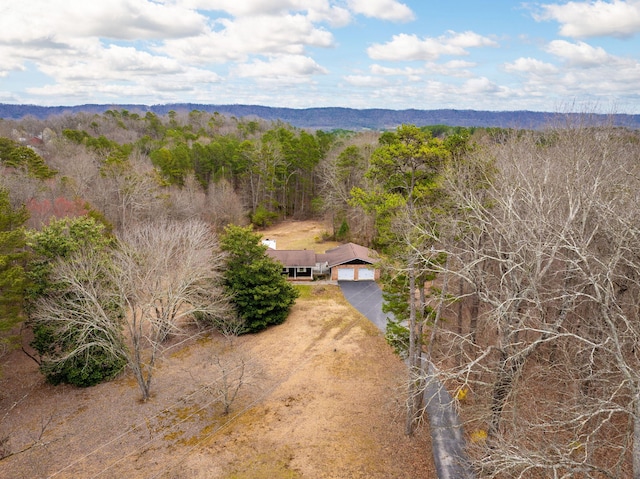 bird's eye view with a forest view