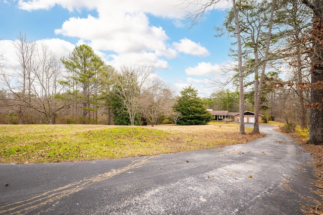 view of street featuring driveway