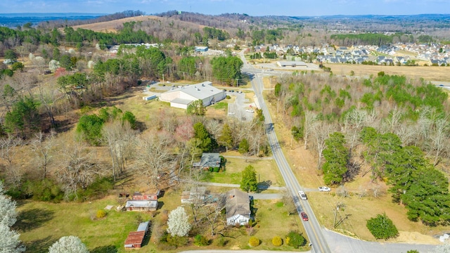drone / aerial view