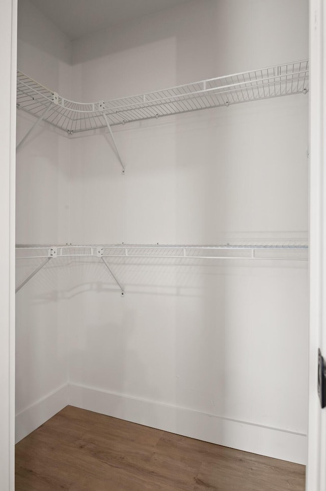 walk in closet featuring wood finished floors