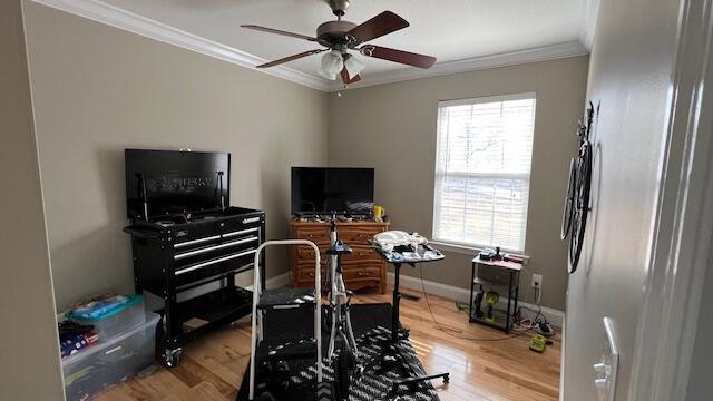 interior space featuring baseboards, wood finished floors, a ceiling fan, and ornamental molding