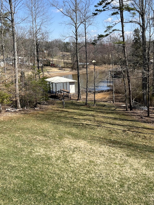 view of yard featuring a dock