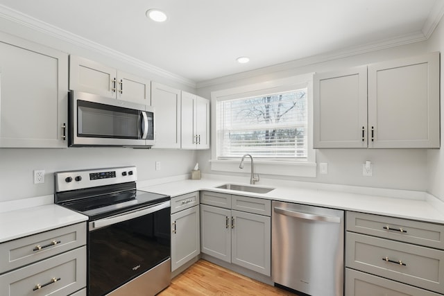 kitchen with a sink, ornamental molding, gray cabinetry, stainless steel appliances, and light wood-type flooring