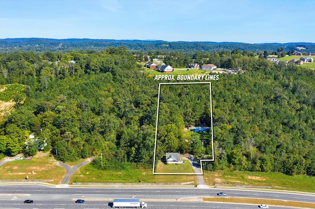 bird's eye view with a view of trees