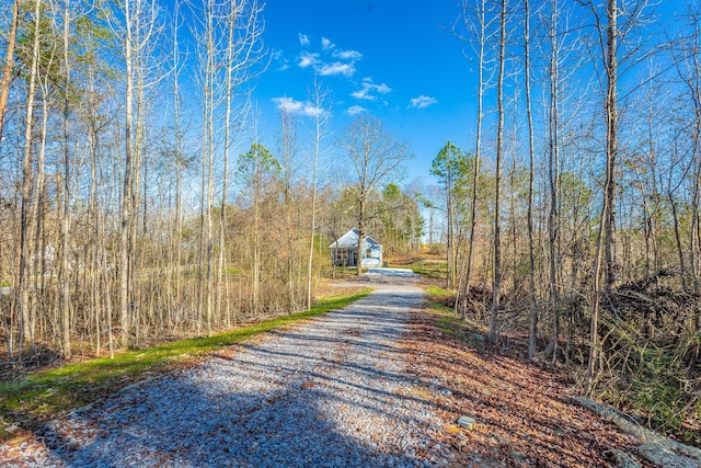 view of street with a forest view and driveway