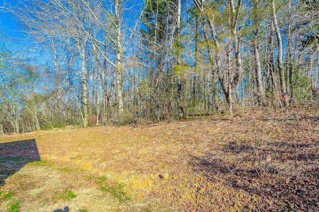 view of yard with a forest view