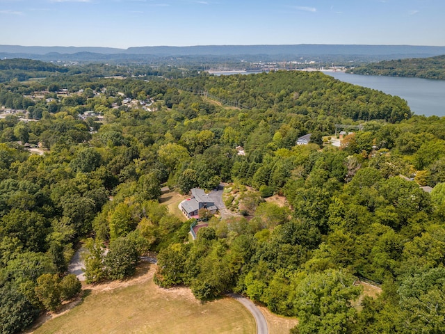 bird's eye view with a view of trees and a water view