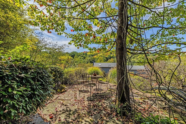 view of yard featuring a wooded view