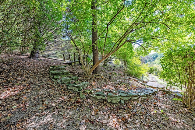 view of yard with a view of trees