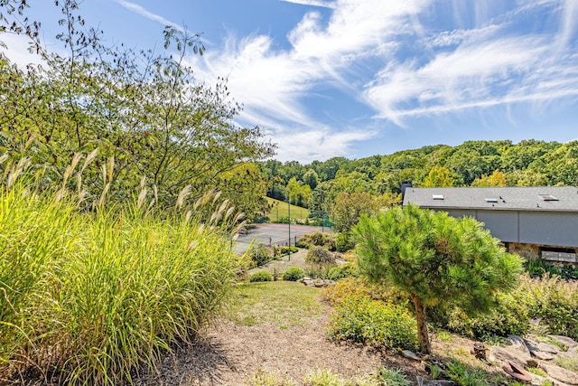 view of yard with a forest view